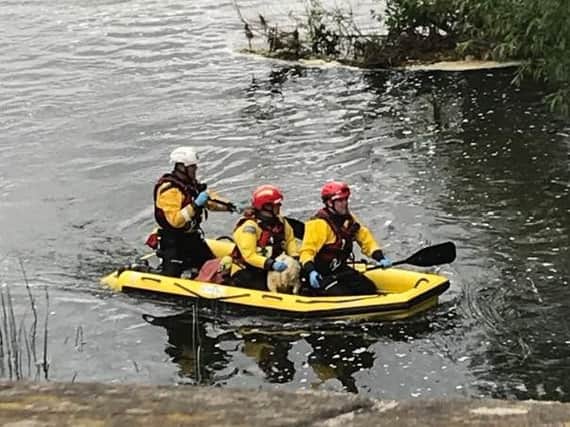 Firefighters rescue a lamb from the River Great Ouse in Olney on Saturday
Pic: @Bucksfire