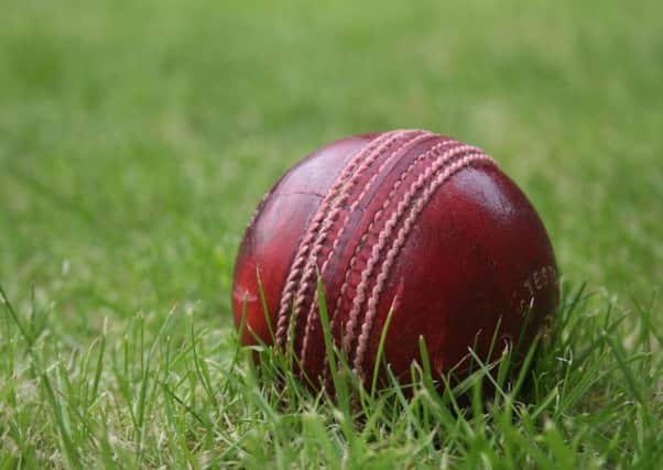 Cricket