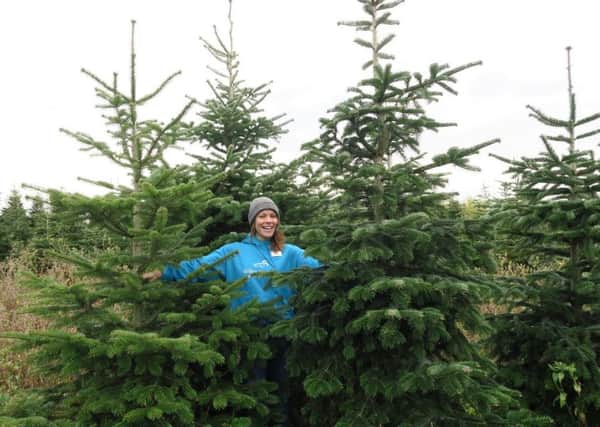 Tree recycling for Willen Hospice
