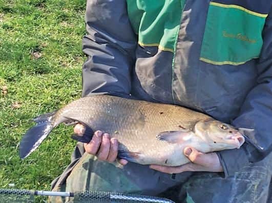KEVIN Osborne's 6-8 Riverside Ouzel bream