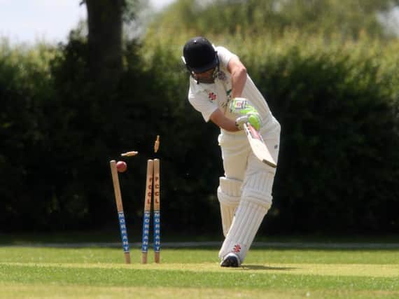 Eaton Bray's Andrew Norris gets bowled