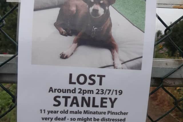 Stanley's 'missing' poster