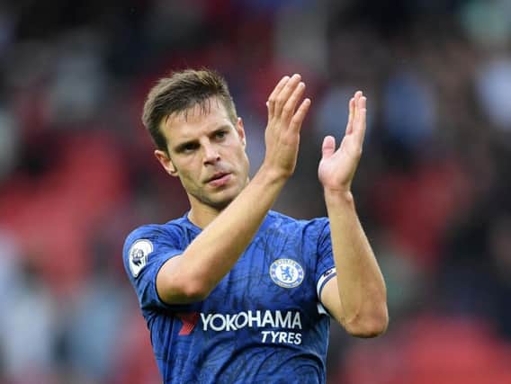 Blues skipper Cesar