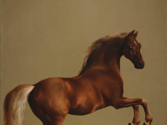 The famous Whistlejacket by George Stubbs