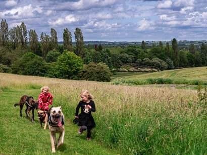 The winner of the Adult Landscape category was Jude Bennett with her energetic image of children and dogs running in Campbell Park