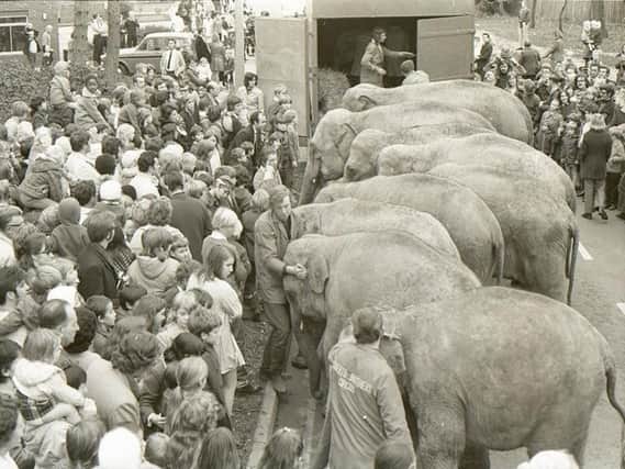 When elephants came to town, November 1972