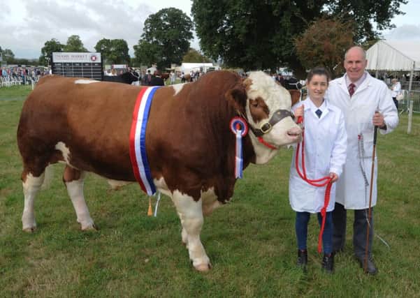 Bucks County Show