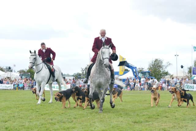 Bucks County Show 2013 - Pictured is The Farmers Bloodhounds in the main arena