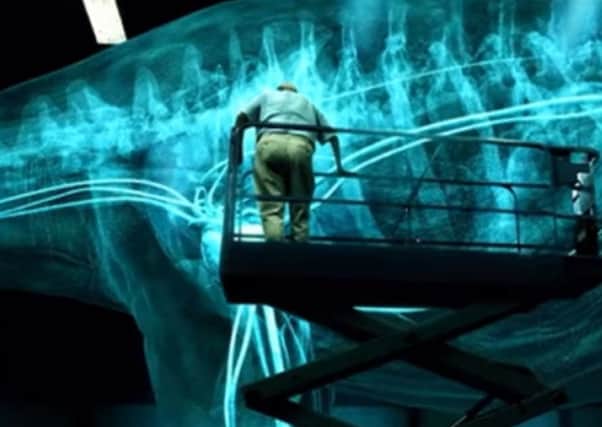 Sir David Attenborough on the trail of the giant titanosaur. Photo: BBC