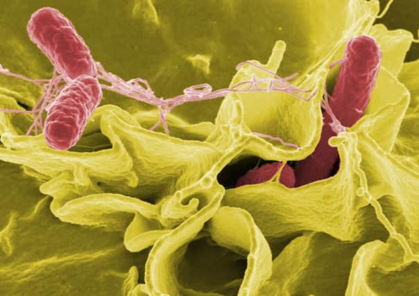 Recall due to risk of Salmonella food poisoning