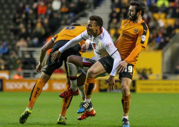 Wolves vs MK Dons (Lee Scriven)