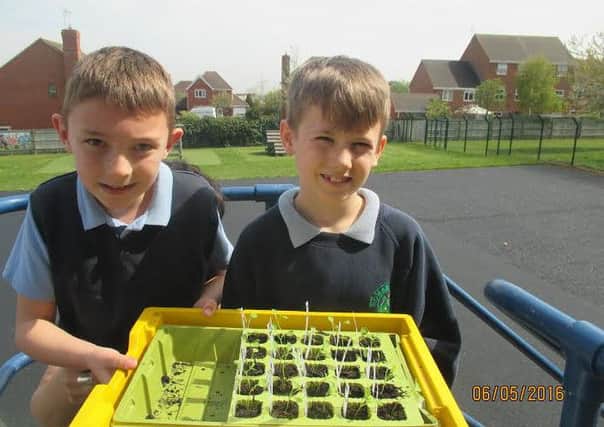 Pupils Kadan and Taylor with their seedlings