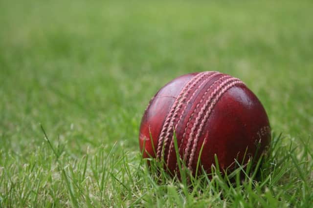 Cricket stock image ENGPNL00120110324141719