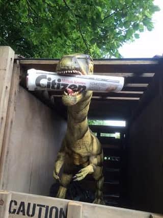 Dino delight! Pic: Sammy Jones