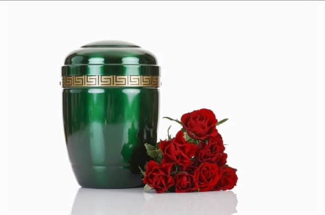 From killer fish to urns, the strangest things that have been left on buses