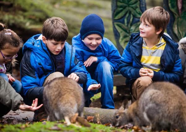 Woburn Safari Park has various activities for youngsters