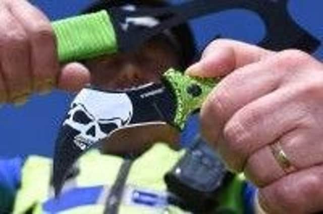 An example of a "zombie knife". Photo: PA