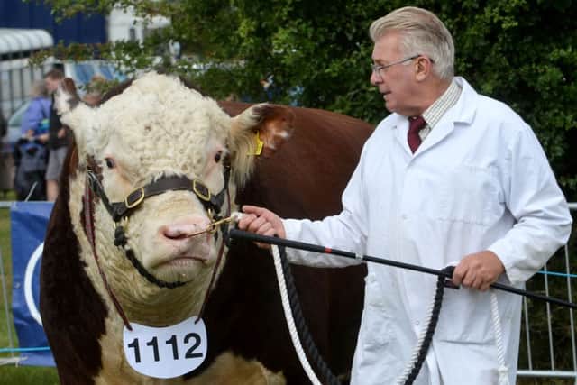 Action from Bucks County Show last year