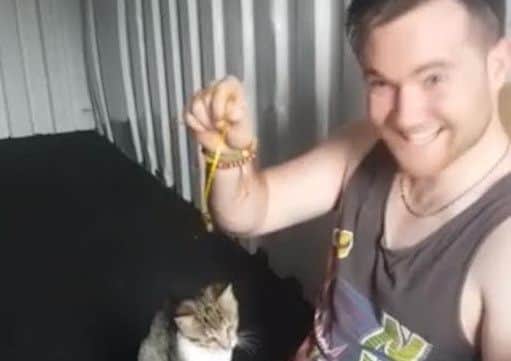Alex Craven found a kitten in the engine compartment of one of a company work van