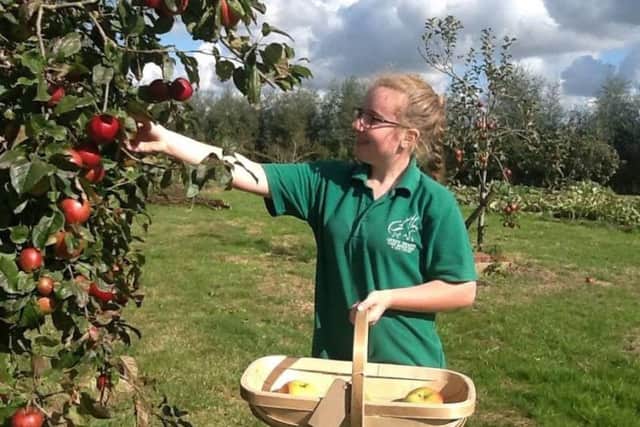 Visit Green Dragon Eco Farm for Apple Day