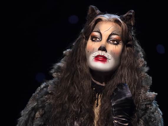 The hit musical Cats is coming to Milton Keynes Theatre