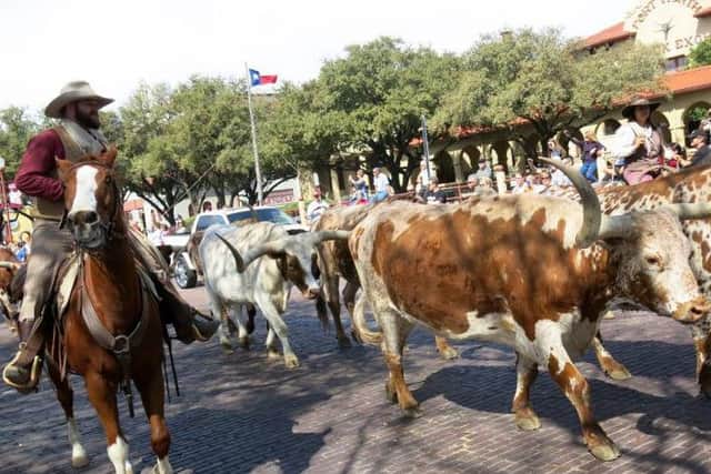 The Fort Worth Stockyards drive.