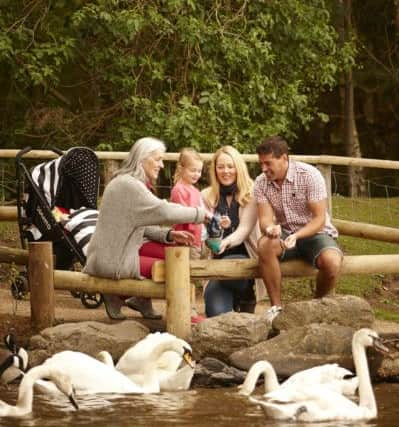 Children are working longer hours than their parents, study shows. Photos: Center Parcs