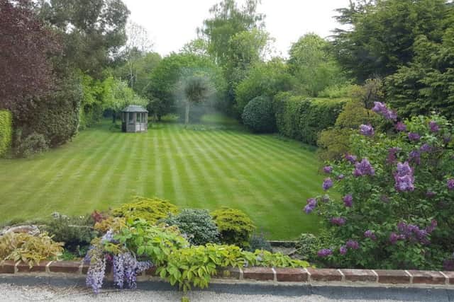 The huge garden