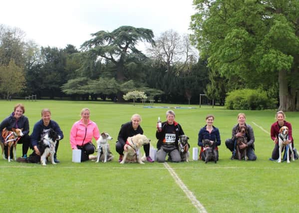 Thornton Medical Detection Dogs fundraiser