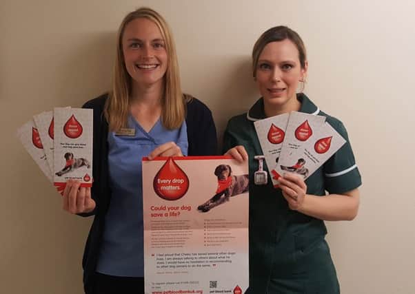 Vickie Boswell practice manager and Jess McCarthy veterinary nurse who help run the Pet Blood Bank at Milton Keynes Veterinary Group