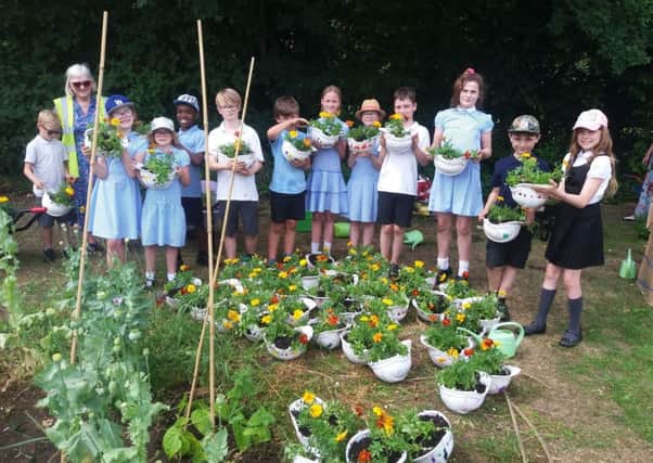 St Mary and St Giles Pupils have planted up 60 hard hats