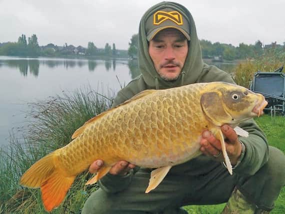 Prettiest fish in the lake? Dean Jasper's Furzton Fest koi. Pic Frank Norford