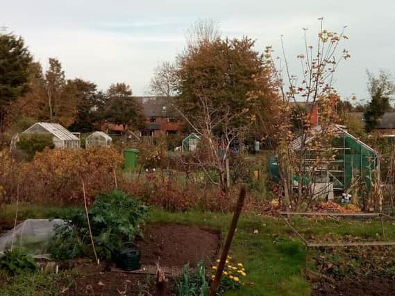 Plot holders of allotments such as this one in Broughton Road, Milton Keynes Village, will now have to pay more